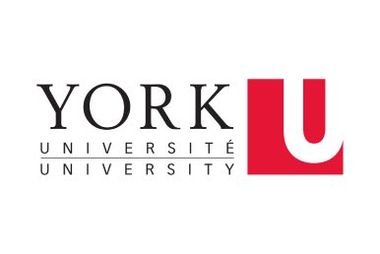 université de york