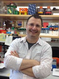 Jasmin Lalonde , University of Guelph