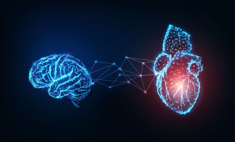 Une image holographique du cœur et du cerveau, reliés par des lignes et des points