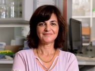 Rivka Dikstein